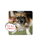 らいらいのツブヤキ（個別スタンプ：1）