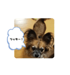 らいらいのツブヤキ（個別スタンプ：7）