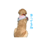 ふうちゃんすたんぷ〜（個別スタンプ：3）