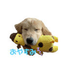 ふうちゃんすたんぷ〜（個別スタンプ：11）