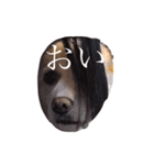 もこもこもこもこもこもこもご（個別スタンプ：4）