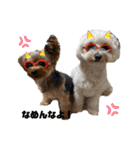 ワンダフル♡わんこ（個別スタンプ：6）