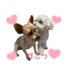ワンダフル♡わんこ（個別スタンプ：7）