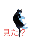 ハチワレ時々キジトラ1（個別スタンプ：1）