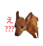 いろんなテトくん 2（個別スタンプ：3）