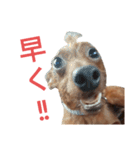 いろんなテトくん 2（個別スタンプ：4）
