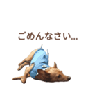 いろんなテトくん 2（個別スタンプ：16）
