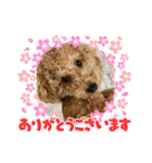 ノアの母（個別スタンプ：1）