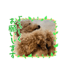 ノアの母（個別スタンプ：5）