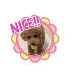 ノアの母（個別スタンプ：9）