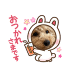 ノアの母（個別スタンプ：16）