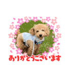 ノアの母（個別スタンプ：17）