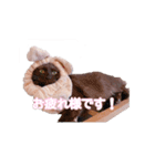 びい君と仲間たち No.2（個別スタンプ：1）