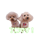 びい君と仲間たち No.2（個別スタンプ：7）