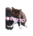 びい君と仲間たち No.2（個別スタンプ：8）