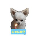 ららっこ 2（個別スタンプ：1）