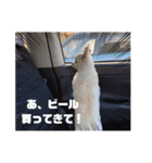 ららっこ 2（個別スタンプ：2）