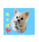 ららっこ 2（個別スタンプ：9）