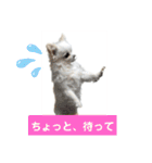 ららっこ 2（個別スタンプ：12）