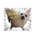 ららっこ 2（個別スタンプ：15）