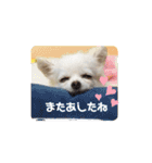 ららっこ 2（個別スタンプ：16）
