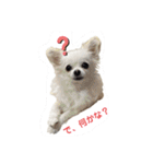 ららっこ 2（個別スタンプ：19）