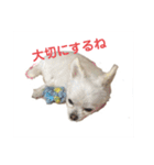 ららっこ 2（個別スタンプ：20）
