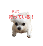 ららっこ 2（個別スタンプ：24）