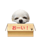 ららっこ 2（個別スタンプ：25）