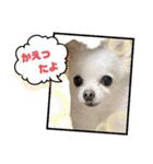 ららっこ 2（個別スタンプ：27）