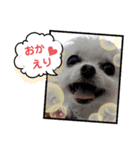 ららっこ 2（個別スタンプ：28）