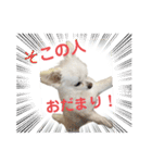 ららっこ 2（個別スタンプ：30）