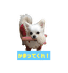 ららっこ 2（個別スタンプ：31）