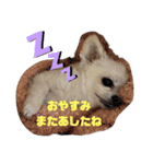 ららっこ 2（個別スタンプ：32）