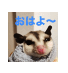 フクロモモンガ スタンプ タケノコ（個別スタンプ：1）