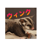 フクロモモンガ スタンプ タケノコ（個別スタンプ：2）
