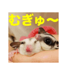 フクロモモンガ スタンプ タケノコ（個別スタンプ：4）