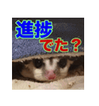 フクロモモンガ スタンプ タケノコ（個別スタンプ：11）