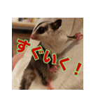 フクロモモンガ スタンプ タケノコ（個別スタンプ：12）