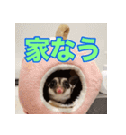 フクロモモンガ スタンプ タケノコ（個別スタンプ：14）