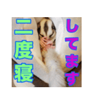 フクロモモンガ スタンプ タケノコ（個別スタンプ：16）