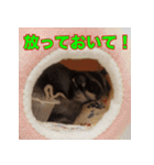 フクロモモンガ スタンプ タケノコ（個別スタンプ：17）
