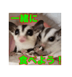 フクロモモンガ スタンプ タケノコ（個別スタンプ：19）