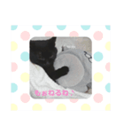 保護猫黒ちゃんと愉快な仲間たち（個別スタンプ：14）