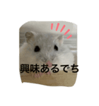 ふくふくスタンプ❤️（個別スタンプ：4）