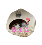 ふくふくスタンプ❤️（個別スタンプ：6）