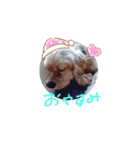 たんたん！ななたん！（個別スタンプ：10）