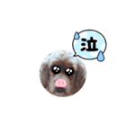 たんたん！ななたん！（個別スタンプ：14）