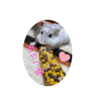 くりしょこゆき（個別スタンプ：2）