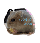 くりしょこゆき（個別スタンプ：3）